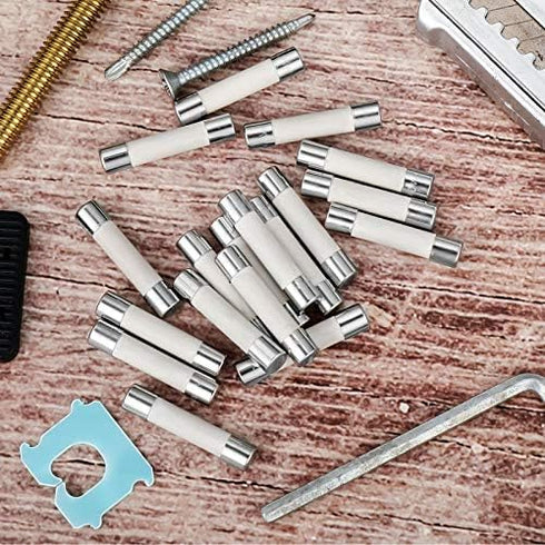 Frienda Microwave Fuse 20 Amp Slow Blow Ceramic Tube Fuse 250V, Compatible with GE WB27X10388 (10 Pieces)