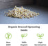 1 Lb Handy Pantry Broccoli Sprouts Seed Organic- - Non-GMO Organic Broccoli Seeds for Sprouting, Microgreens Sprouting