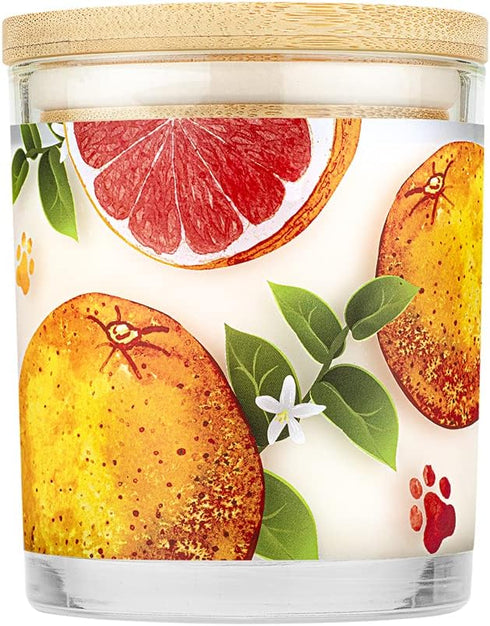 One Fur All Citrus Candle 9 OZ - Plant-Based Soy Candle, Clean Burning Air Freshener with 60 Hour Burn Time - Ruby Red