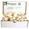 White Ebenzer Onion Sets 8 oz, Heirloom Non-GMO Bulbs for Garden, 60-80