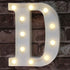 Pooqla LED Marquee Letter Lights Sign, Light Up Alphabet Letter for Home Party Wedding Decoration D