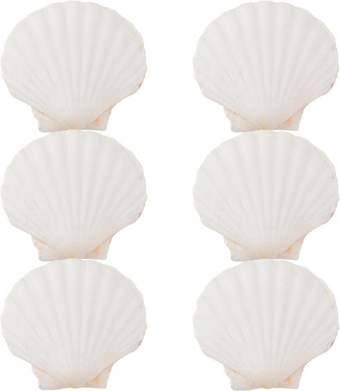 6PCS 4inch Scallop Shells: White Sea Shells for Crafting, DIY Painting, and Home Wedding Decoration