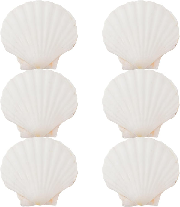 6PCS 4inch Scallop Shells: White Sea Shells for Crafting, DIY Painting, and Home Wedding Decoration