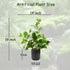 EZBOHO 16 inch Artificial Plants Indoor Realistic Touching Evergreen Leaf Fake Plant with Creamic Black Pot for Home