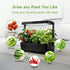 SIETAMIS 50 Packs Cuttage Grow Sponges, Pods Root Growth Sponge Eco Friendly PH Balance, Square Sponge Replacement Part