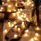 Generic Globe String Lights 20ft 40 LED USB Powered Warm White Fairy Lights