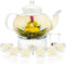 Glass Teapot Set, 27OZ/800ML Stovetop Safe Glass Tea Kettle with 6 Small