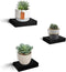 HAO Small Floating Shelf 6 inch Wall Mounted Mini Hanging Display Shelves