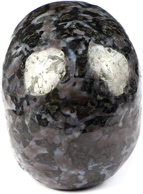 Skullis 2.0" Gabbro Crystal Skull - Hand Carved Gemstone Fine Art Sculpture, Reiki Healing Stone Statue