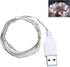 Fidt 9ft 30 LED USB String Lights - Silver Wire Fairy Lights for Wedding, Party, Christmas & Festival Decorations