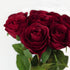 Tinsow 8 Heads Artificial Roses Flowers - Silk Latex Rose Bouquet for Home Decoration (Red)