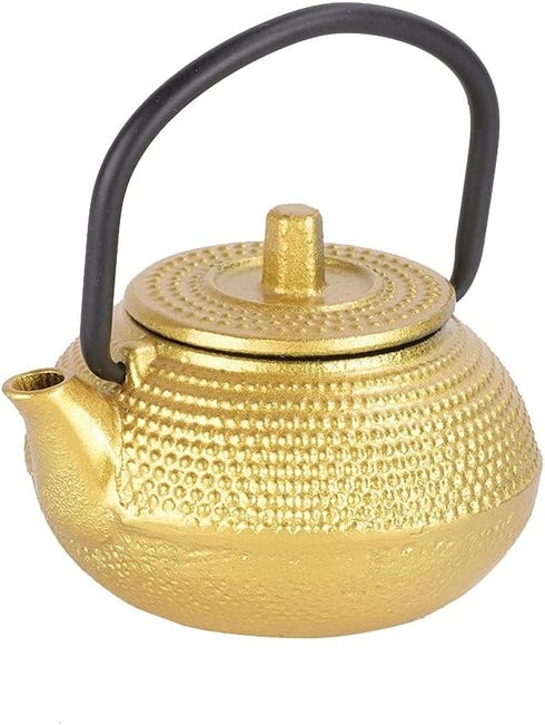 Gaeirt 50ml Cast Iron Tea Pot - Flat Bottom Tea Infuser with Handle and Spout, Exquisite Water Kettle for Home Kitchen