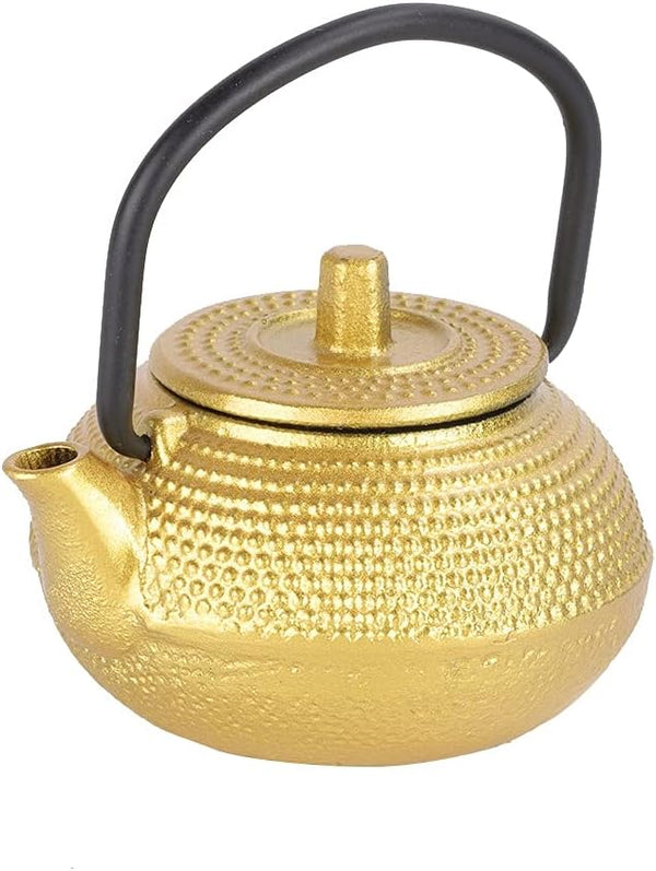 Gaeirt 50ml Cast Iron Tea Pot - Flat Bottom Tea Infuser with Handle and Spout, Exquisite Water Kettle for Home Kitchen