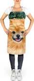 Caroline's Treasures SS8725APRON Pomeranian Apron for Adult Women Men, Unisex, Large, Multicolor, Cooking Kitchen