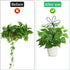 AEDOVE 2 Pcs Indoor Plant Trellis, Mini Garden Trellis for Potted Plants, Indoor Potted Plant Climbing Plants Flower