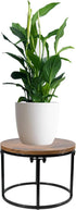 ARTORA Plant Stand Indoor Short Plant Shelf Mid Century Metal and Wood Stool