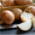 (5 Packs) Seed Needs Onion Seeds for Planting Walla Walla Long Day Onions - Non-GMO Heirloom & Untreated Vegetable