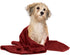 DAN RIVER Dog Towels for Drying Dogs, Large 100% Cotton Puppy Bath Towel, Ultra Soft 450 GSM, 20x40 inches