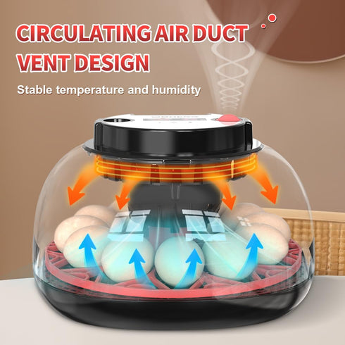 12 (RED-12) Automatic Egg Incubators for Hatching Eggs Whith Smart Temperature Control, Auto Turner, LED Candling