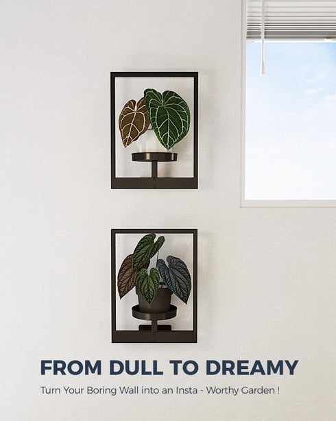 2 Pack Bamworld Plant Stand Indoor Wall Decor Metal Plant Hanger Indoor Hanging Plant Holder Wall-Mounted Planters