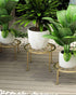 Hewnda 1 Pack Sturdy Gold Metal Plant Stand - Heavy Duty Indoor/Outdoor Use