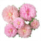 Pinks Flowers Decoration (Assorted 11''-7''), 6 pcs Artificial Tissue Paper Peony for Baby Girl Birthday
