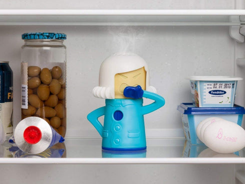 Chilly Mama Baking Soda Fridge and Freezer Odor Absorber & Freshener Holder, Blue