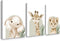 Tanmart Animal Wall Art Pictures Baby Nursery Canvas Wall Art Decor Safari Animal