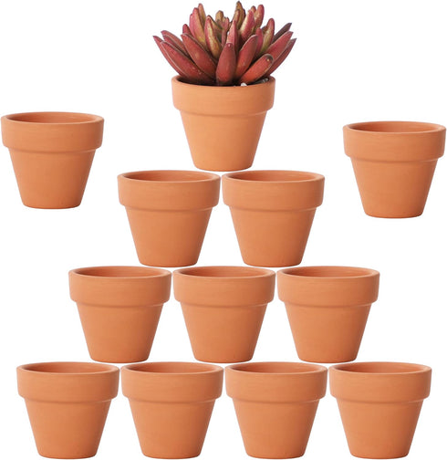Yishang 1.9 Inch Tiny Terracotta Pots, Pack of 12 Mini Clay Pots with Drainage Holes for Tiny Cactus
