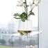 3-Tier Sumerflos Acrylic Window Boxes Plant Shelves for Windows, Acrylic Hanging Window Plant Shelves, Indoor Windows