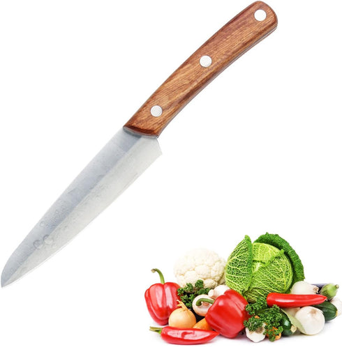 Leize 4.6-Inch Pro Paring Knife, High Carbon Stainless Steel Fruit/Vegetable Carving Knife with Wooden Handle
