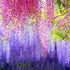 DearHouse 12 Pack Artificial Fake Wisteria Vine Hanging Garland Silk Flowers String Home Party Wedding Decor (Pink)