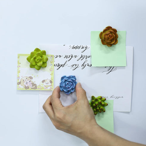 Plant Pattern 3D Resin Succulent Fridge Magnets, Set of 8 White Board Magnets for Home Office Display