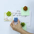 Plant Pattern 3D Resin Succulent Fridge Magnets, Set of 8 White Board Magnets for Home Office Display