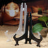Transparent Plastic Display Stand, Black Plastic Easel for Photo Holder, Displays Picture Frames, Decorative Plates,
