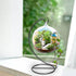 YEARCHY (1, 9.1''x4.1''), Ornament Display Hanger Rack Stand Hook Chrismas Ornament Party Decoration Holder Air Plant