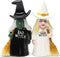 Pacific Trading Good Witch and Bad Witch Magnetic Ceramic Salt & Pepper Shakers