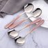 Buyer Star Bouillon Spoon Sets, 7-Inch Round Soup Spoons, Stainless Steel Finished Table Dinner Spoons
