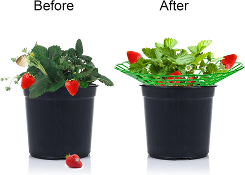 20 Pack 3 Pumtus Strawberry Supports, Strawberry Plant Stand With Sturdy Legs, Strawberry Growing Racks, Strawberry