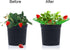 20 Pack 3 Pumtus Strawberry Supports, Strawberry Plant Stand With Sturdy Legs, Strawberry Growing Racks, Strawberry