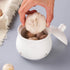12 OZ Garlic Keeper with Lid, Porcelain Container for Countertop (White 12 OZ)