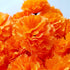 Marigold Flowers Heads Bulk, Silk Artificial Flowers for Diwali and DIY Marigold Garland Decorations