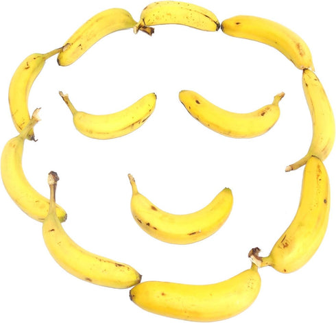 Banana Hook Hanger by Gadjit (2 Pack) - Under Cabinet Hook to Hang Bananas, Prevents Bruising