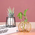 Nordic Small Clear Glass Vase, Metal Geometric Iron Line Cup Pot for Hydroponic Flowers, Modern Home Décor
