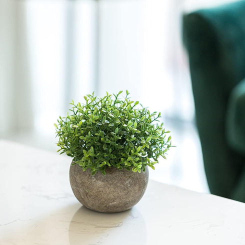 HC STAR Artificial Mini Fake Plant - Potted Decorative Lifelike Green Plants for Indoor and Outdoor Room Decor