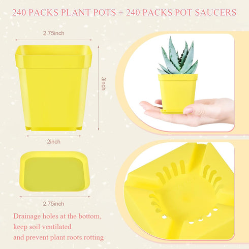 240 Pack 3 Inch Zubebe Plastic Seedling Pots Flower Pots Small Square Plastic Plant Pots Succulent Planter Nursery Pots