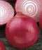 Onion, Short Day, Burgandy Red Onion Seed, Heirloom, Non-GMO, (25+Seeds), Excellent Slicing