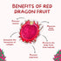 The Lucky Stars 250 95% Rare Red Dragon Fruit (Pitaya) Seeds - Germination Rate - Thanh Long RUT - Hylocereus