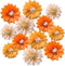 12pcs 10in 12in Paper Flowers, Tissue Pom Poms for Wedding Party Decorations, DIY Art Craft Blooms, Orange