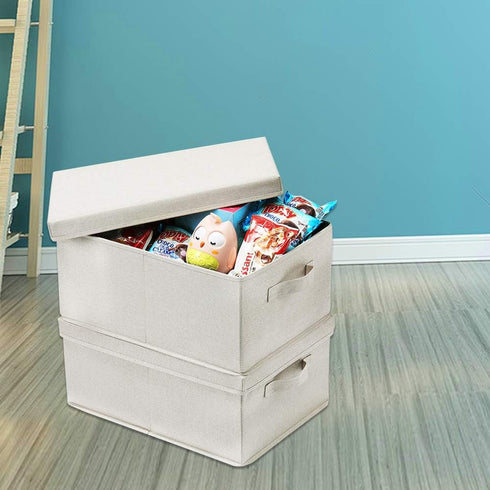 HOONEX Foldable Storage Bins with Lids, 2 Pack, Beige Storage Boxes for Shoes, Books, Clothes, Linens